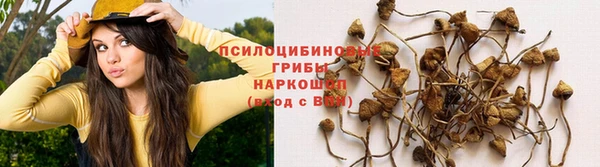 spice Медвежьегорск