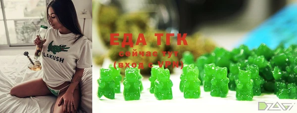 сатива Магас