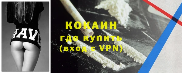 сатива Магас