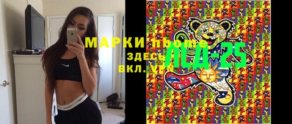 сатива Магас