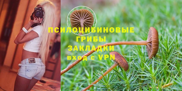 spice Медвежьегорск