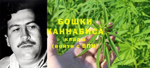 spice Медвежьегорск