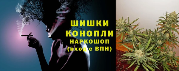 гидропоника Медногорск