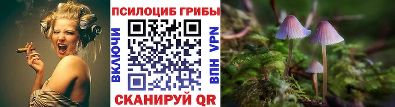 Купить  Наро-Фоминск  Псилоцибиновые грибы Magic Shrooms 